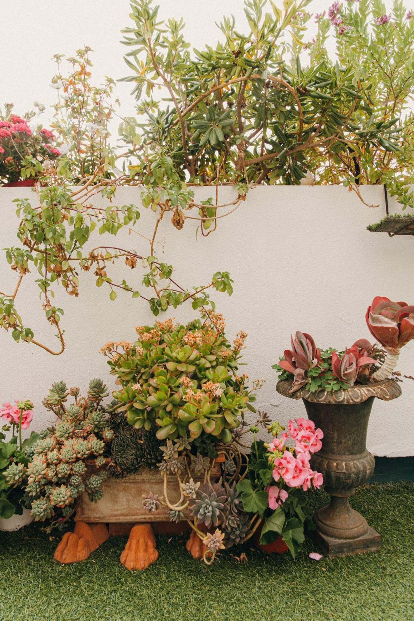 La Petite Maison Bed & Breakfast Marseilles